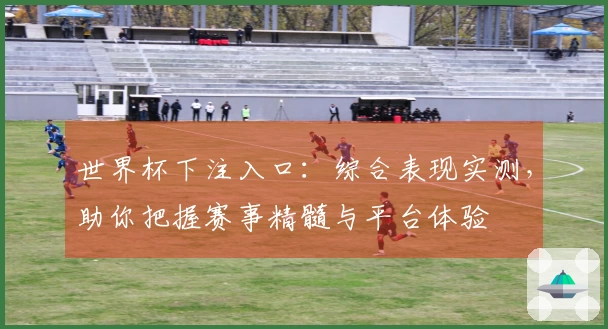 世界杯下注入口:综合表现实测,助你把握赛事精髓与平台体验