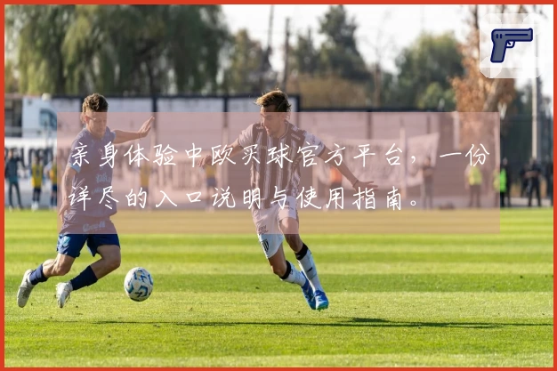 亲身体验中欧买球官方平台，一份详尽的入口说明与使用指南。