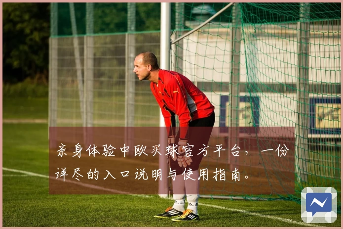 亲身体验中欧买球官方平台,一份详尽的入口说明与使用指南。