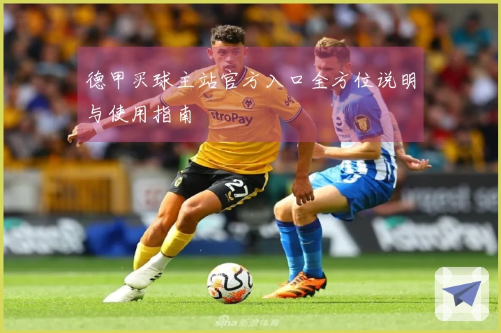 德甲买球主站官方入口全方位说明与使用指南